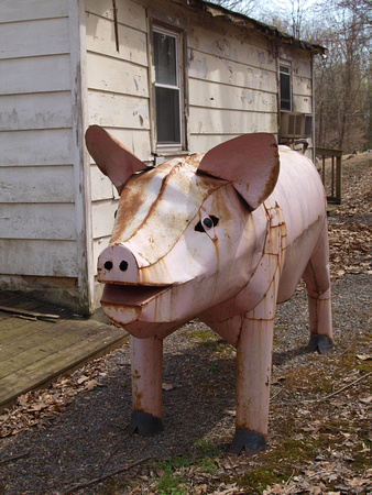 Steel Hog Sculpture, Loudoun County