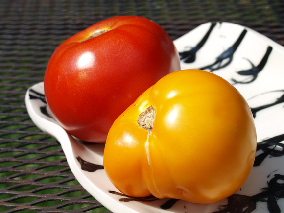 Two tomatoes on a platter